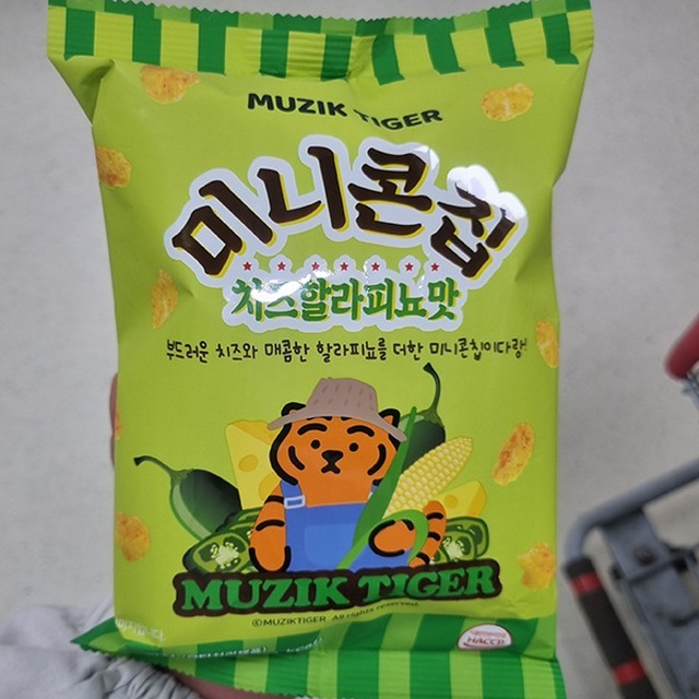 타이거 이미지