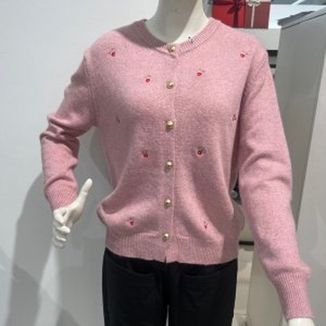 안지크 이미지