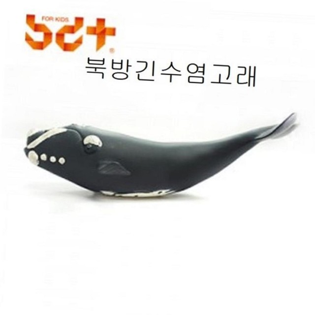 고래수염 이미지