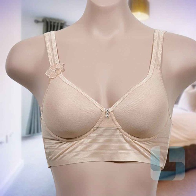 모아스포츠 이미지