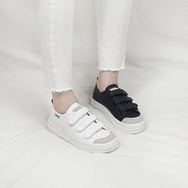 디아 이미지