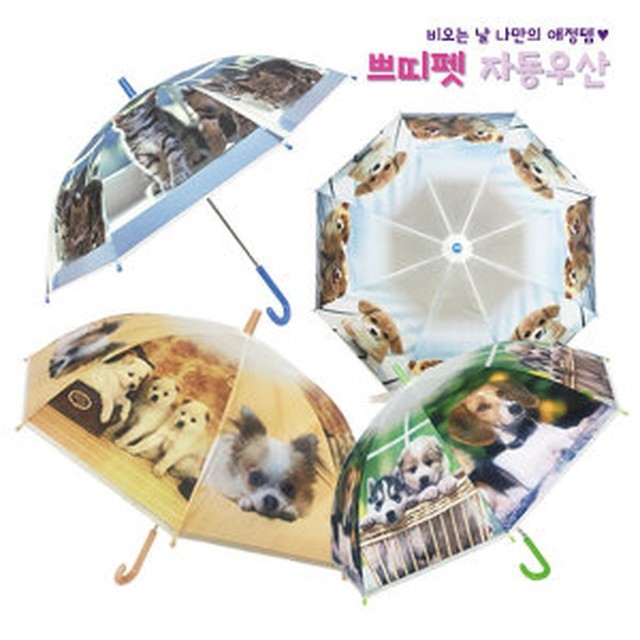 쁘띠펫 이미지