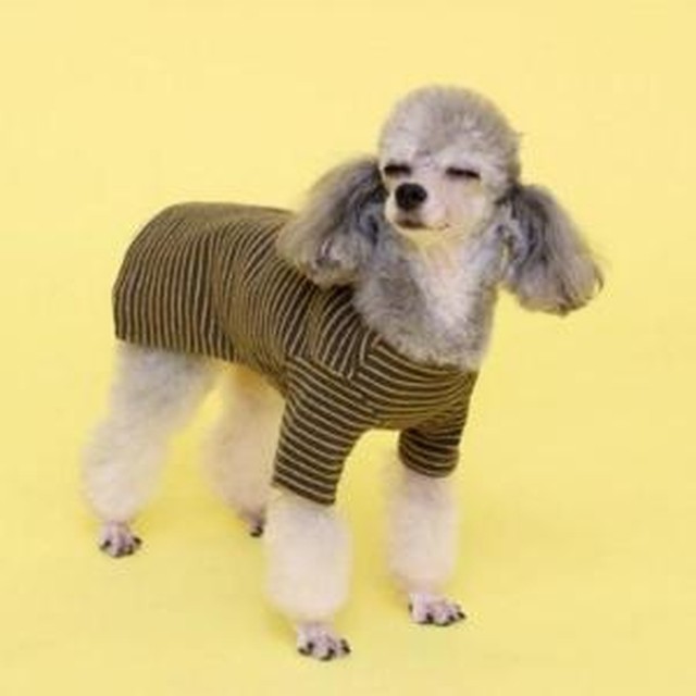 포시즌 이미지