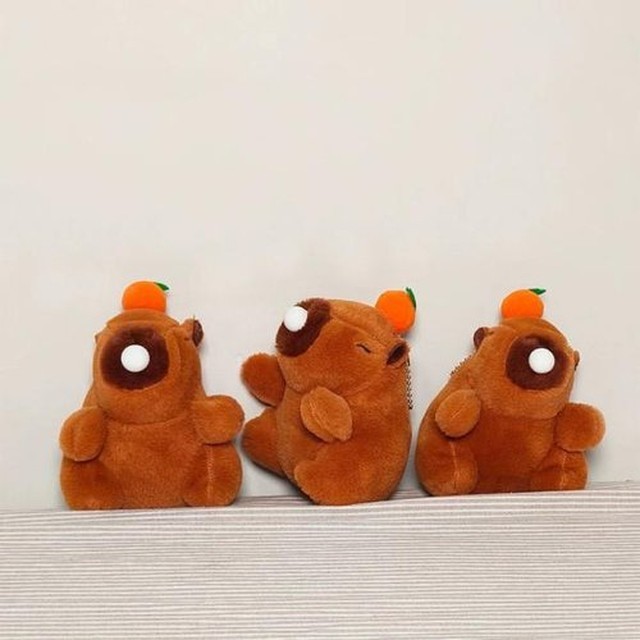 위티 이미지
