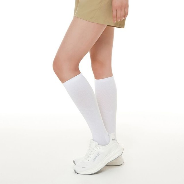 안다르 이미지