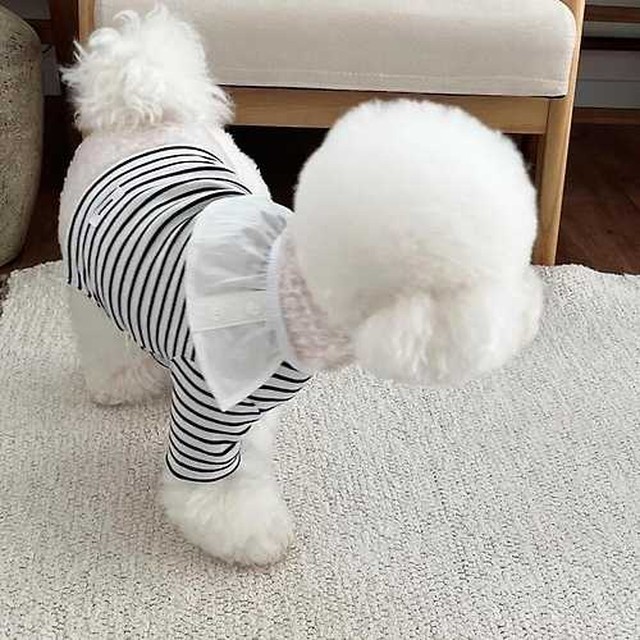 꼴레트 이미지