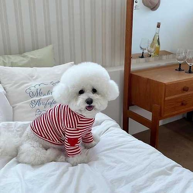 꼴레트 이미지