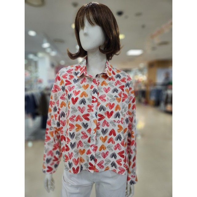 아날도바시니 이미지