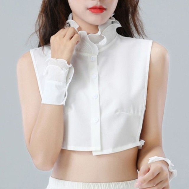 폴라 이미지