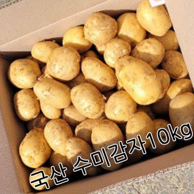 감자 이미지