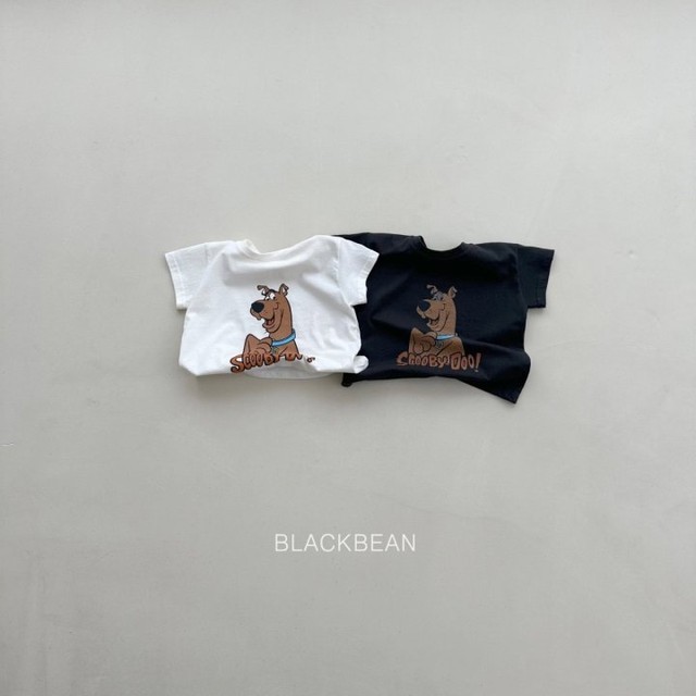블랙빈 이미지