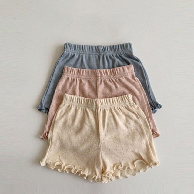 까멜리아 이미지