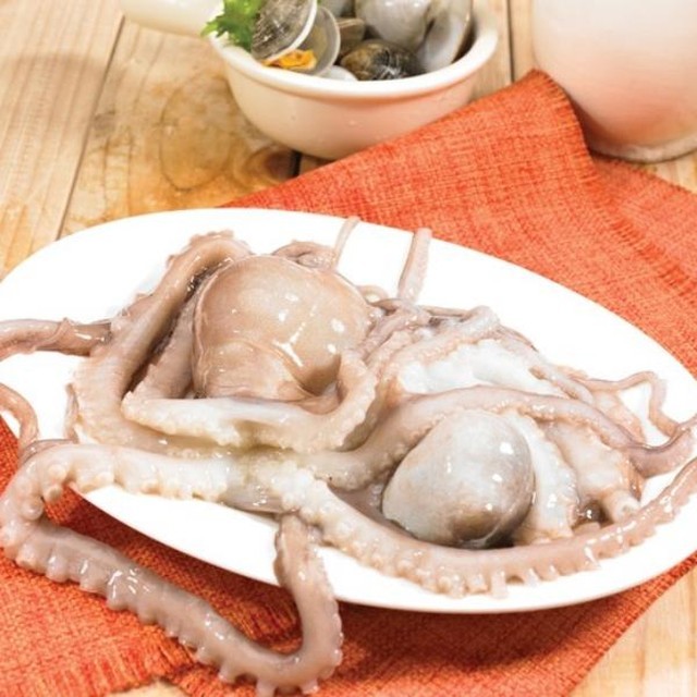 해남뻘낙지 이미지