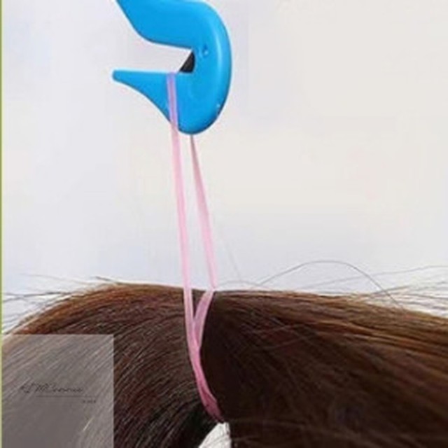 코니와 이미지