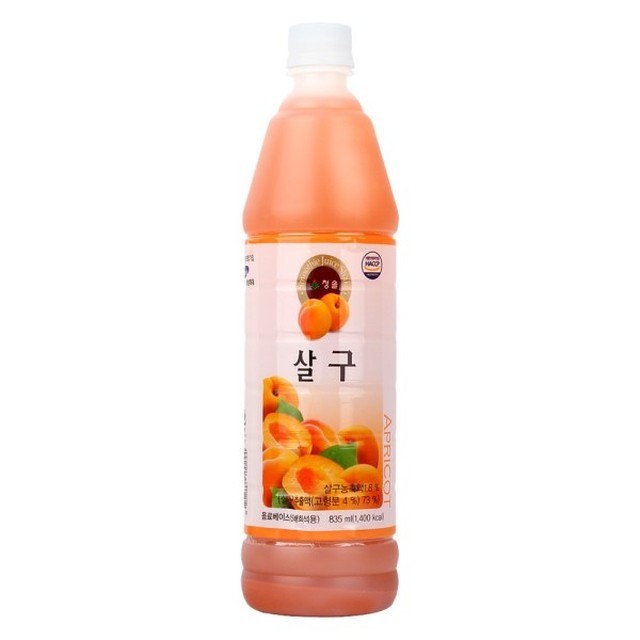 청솔 이미지
