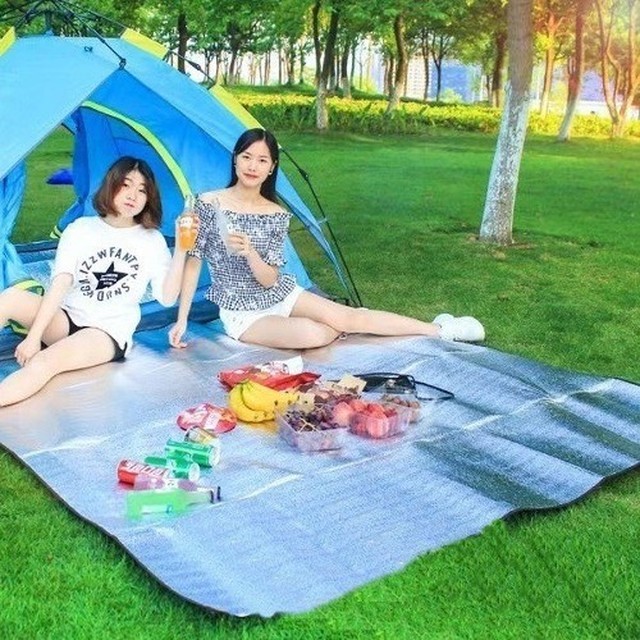 피크닉 이미지