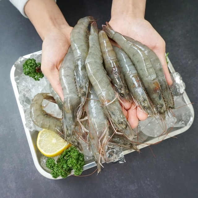 대하 이미지