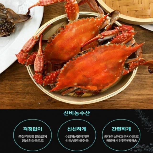 꽃게야 이미지