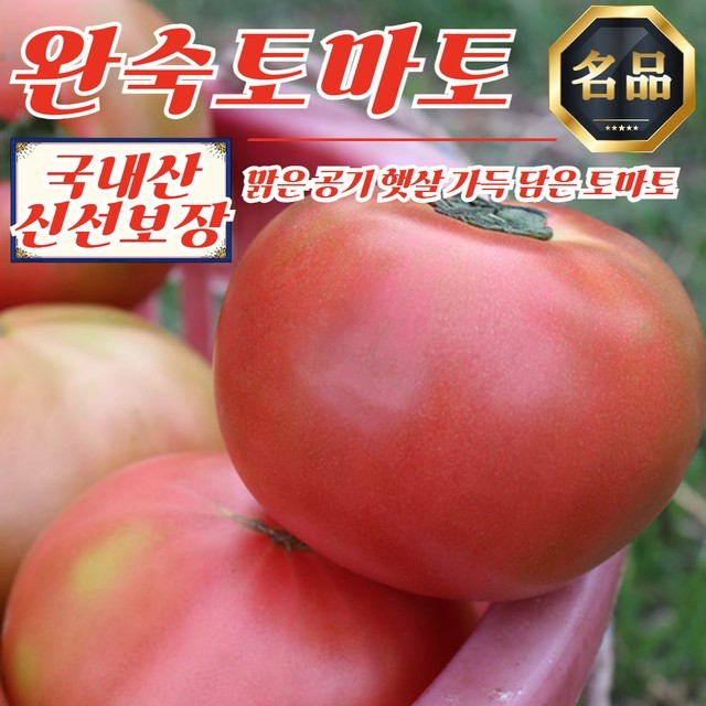 토마토 이미지