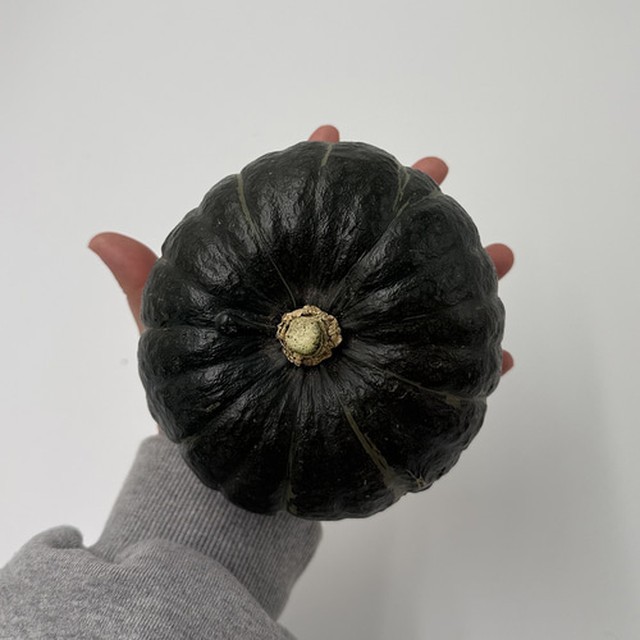 호박 이미지