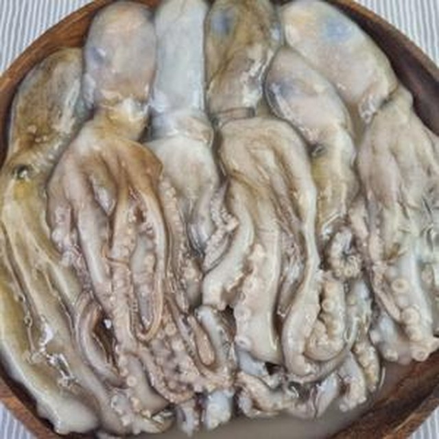낙지 이미지