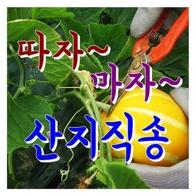 소미네일 이미지