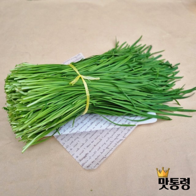 맛통령 이미지