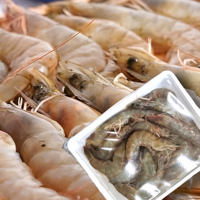 대하 이미지
