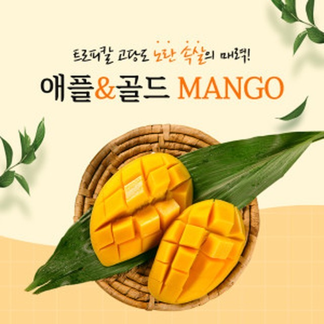 망고 이미지