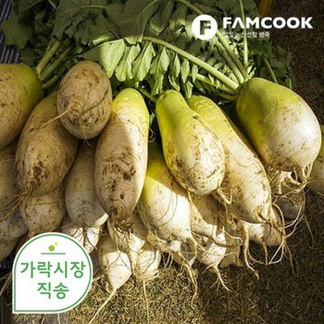 무 이미지