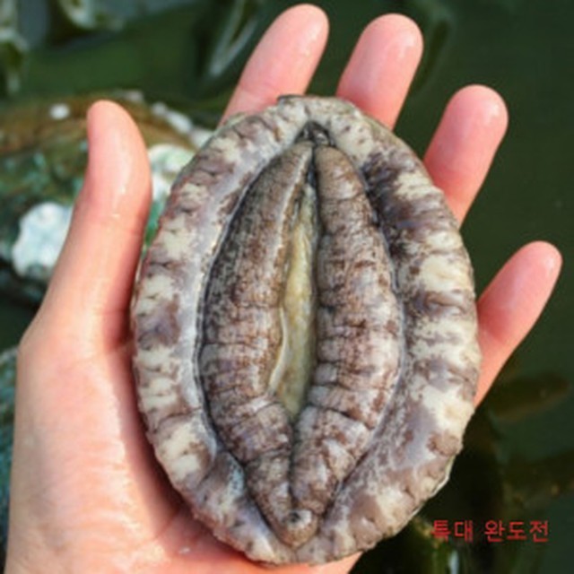에스엠마켓 이미지