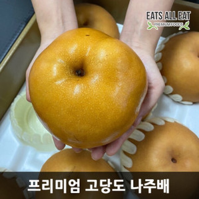 이츠 이미지