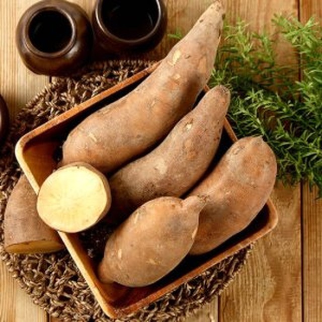 야콘 이미지