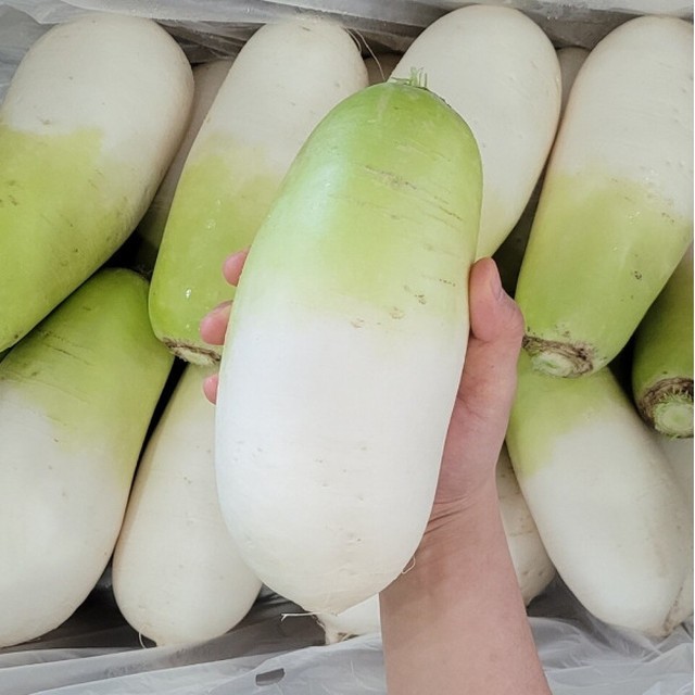 무 이미지