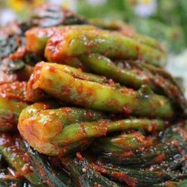 김치랑 이미지