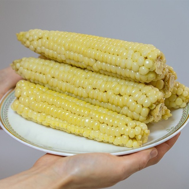 찰옥수수 이미지
