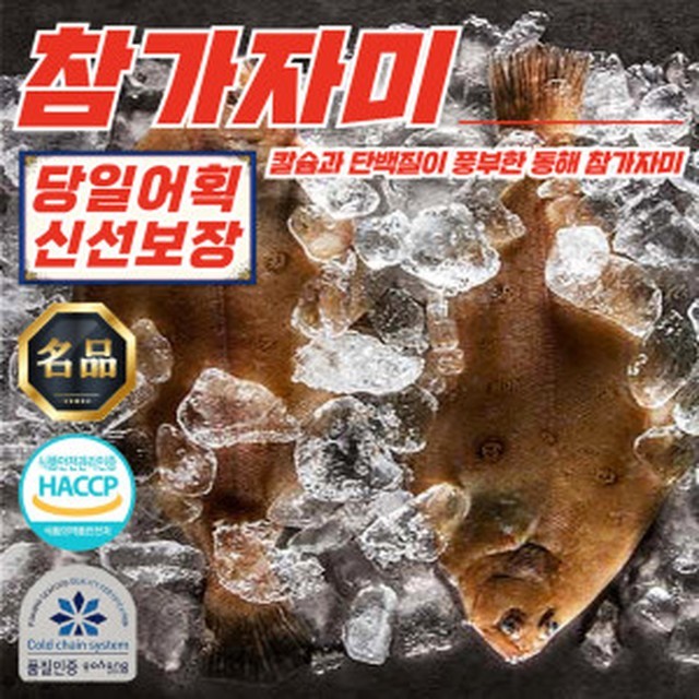 양포어장 이미지