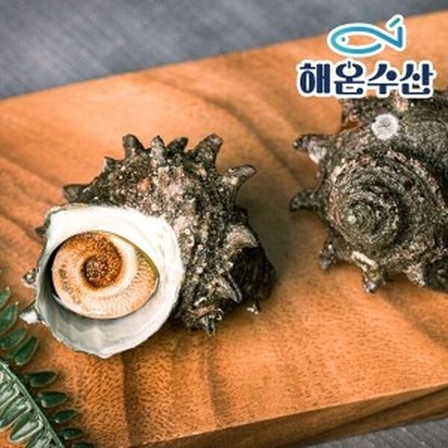 자연산 이미지
