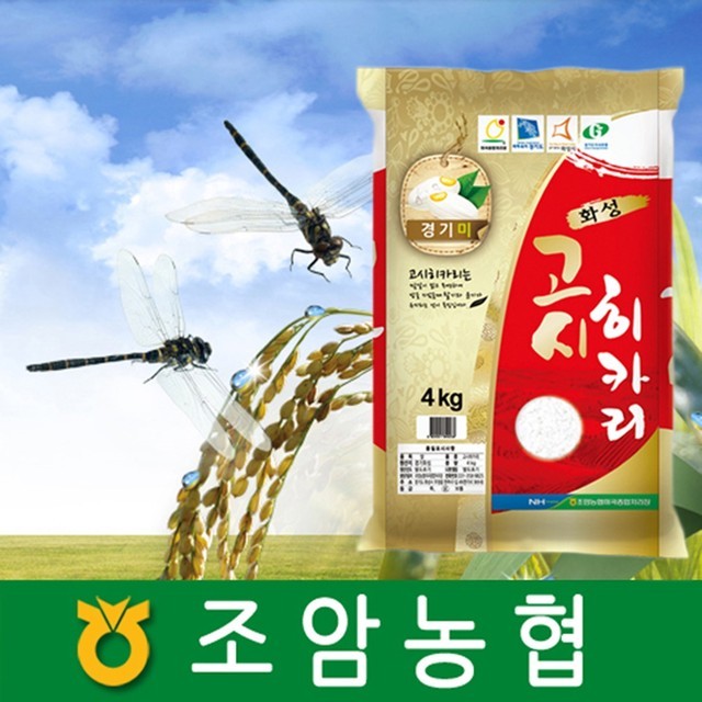 조암농업협동조합 이미지