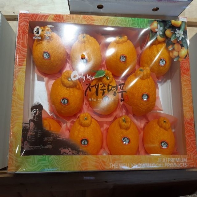 진우네 이미지