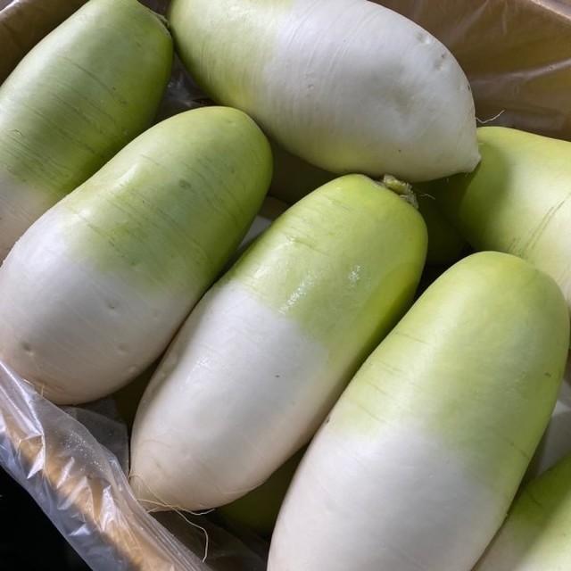 무 이미지