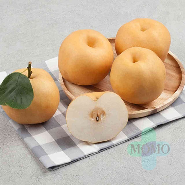 모모로 이미지