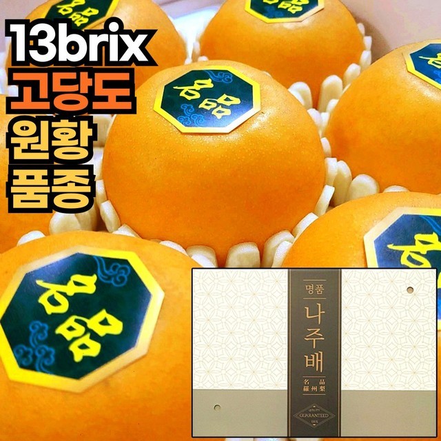 원항 이미지