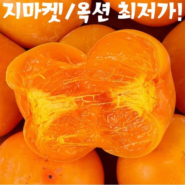 풀빛농원 이미지