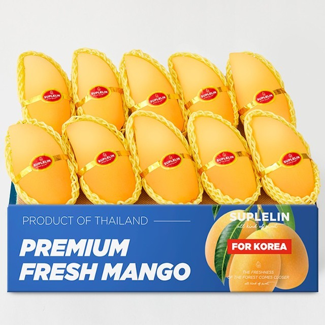 망고 이미지