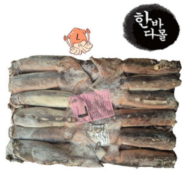 오징어야 이미지