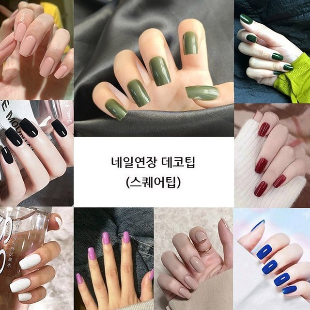 네일로91 이미지