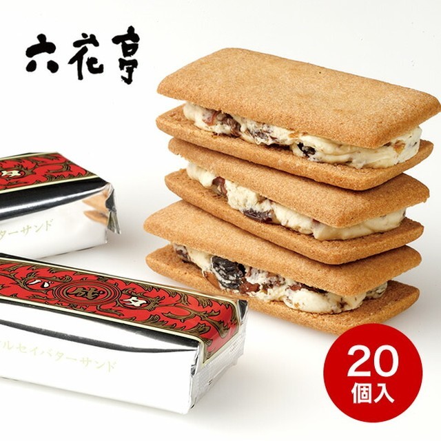 샌드데이 이미지