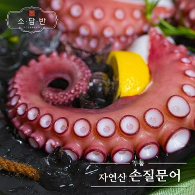 문어야 이미지