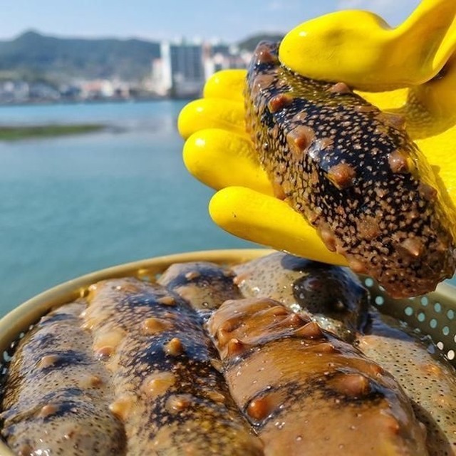 천광요 이미지